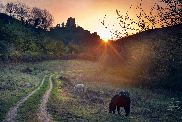 Path to the Castle