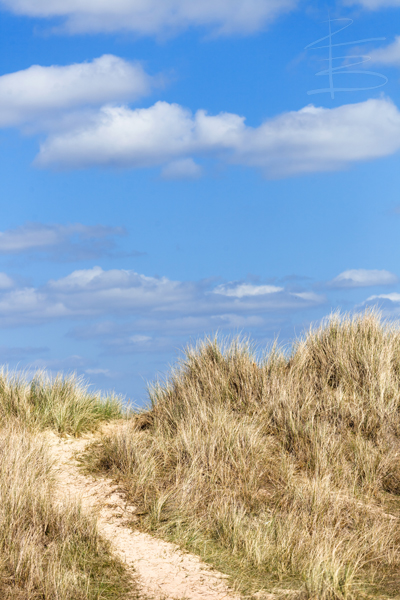 Sand Dunes
