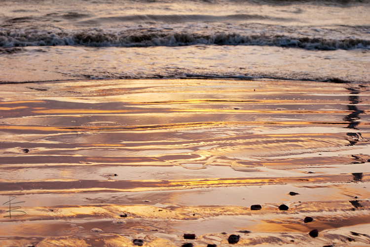 Shoreline Sunrise