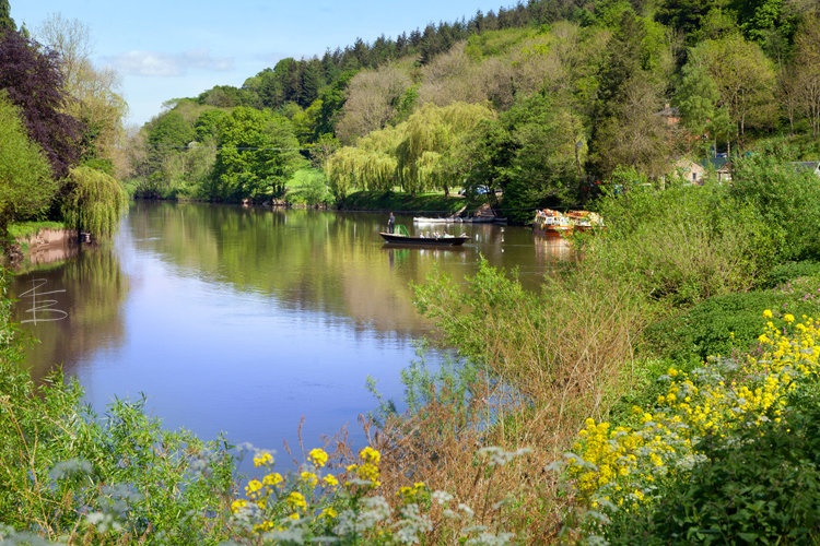 Symond's Yat East