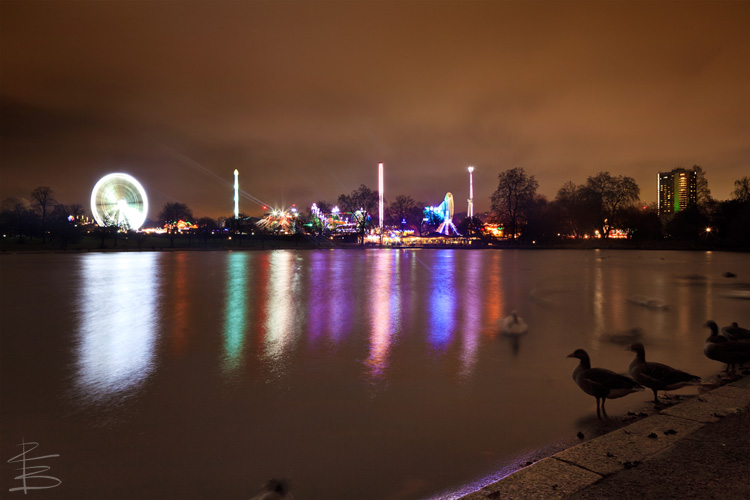 Wading in a Winter Wonderland