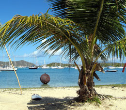 Jeremy's Kitchen. Trellis Bay, BVI