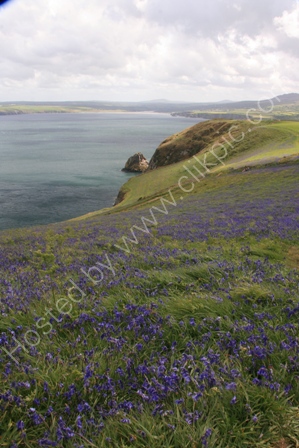 Dinas Island, Pembrokeshire