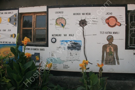 Wall in Masai School