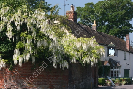 The Angel Inn, Heytesbury