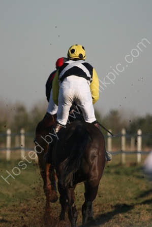 Jockey in a Point to Point