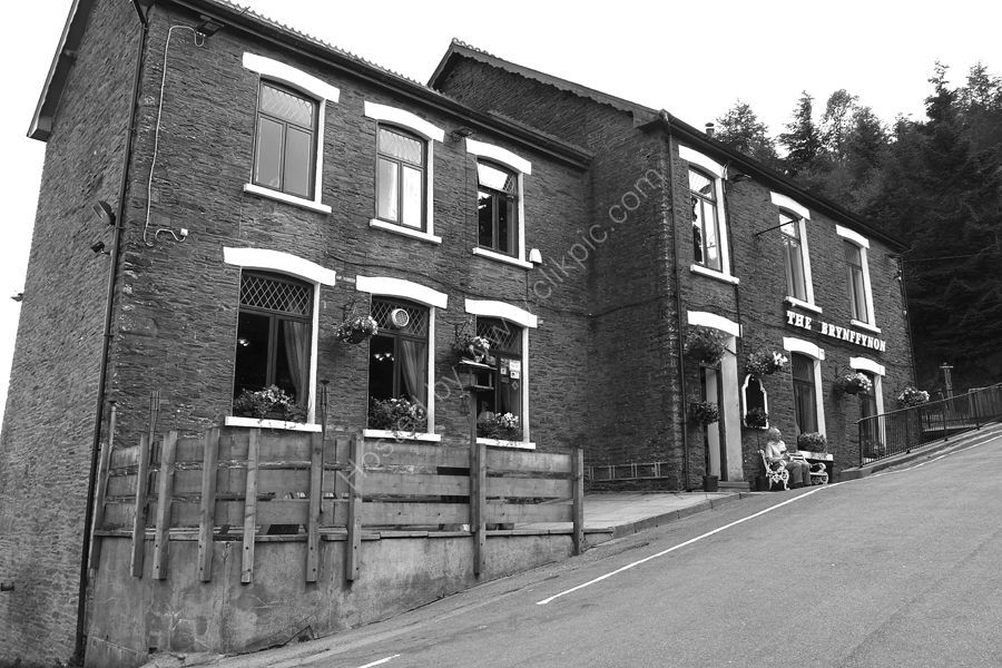 The Brynfynnon Hotel