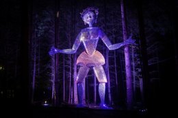 The Enchanted Forest