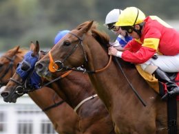 Horse Racing Hamilton Event