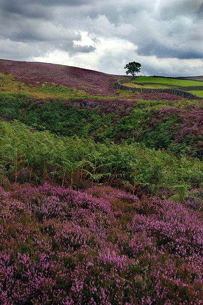 Barden Fell