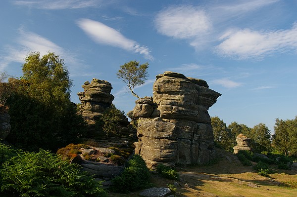 Brimham Rocks
