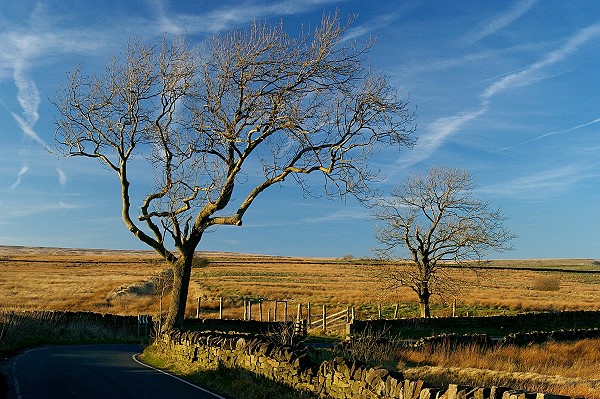 Broad Hill