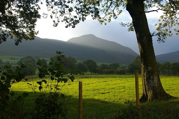 View towards Catbells
