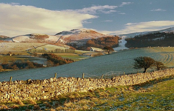 Rough Haw