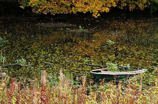 Sunken boat.