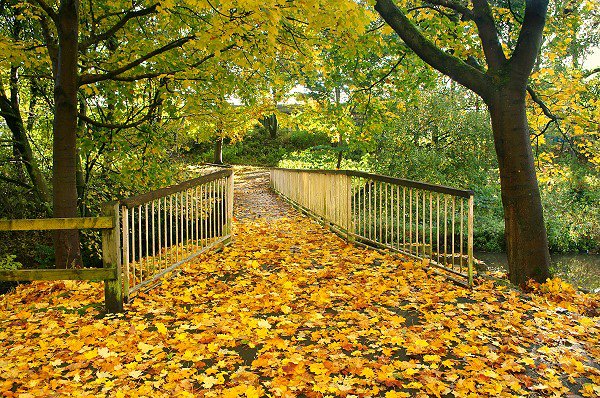 Autumn in Queen's Park