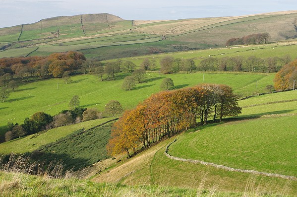 View towards South Head