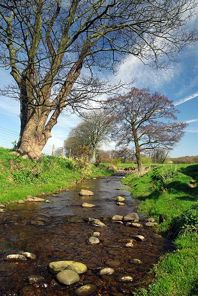 Grize Dale Brook