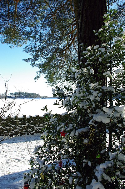 Xmas at Entwistle