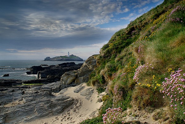 Springtime at Godrevy Point