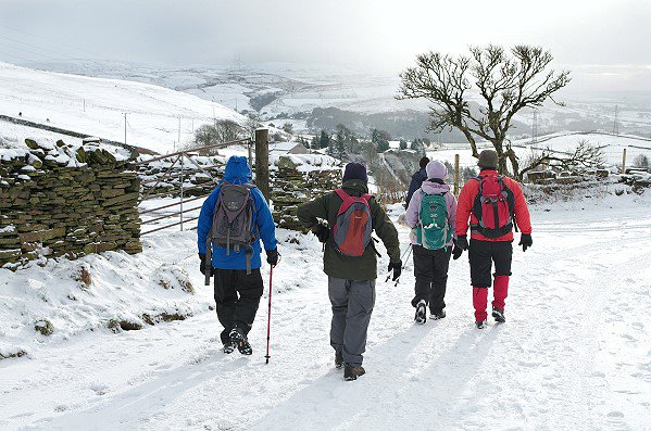 Winter Walk