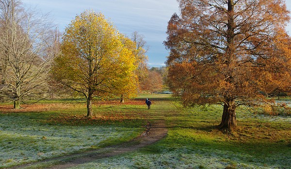 Levens Hall Deer Park