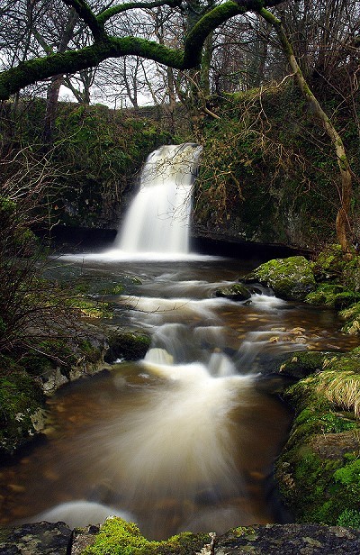 Lockin Garth Force