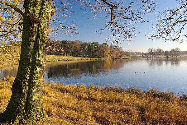 Melchett Mere
