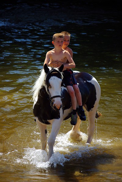 Appleby Horse Fair