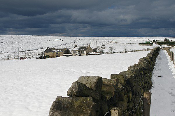 Returning Path