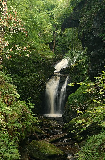 Afon Cynfal