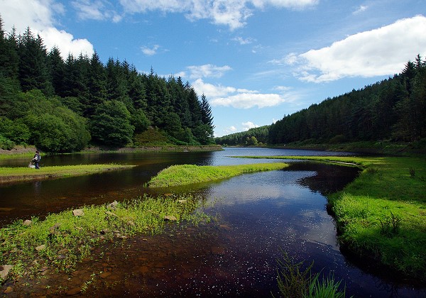 Entwistle Reservoir