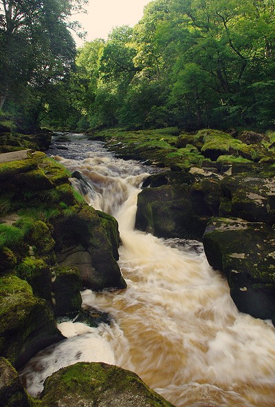 The Strid