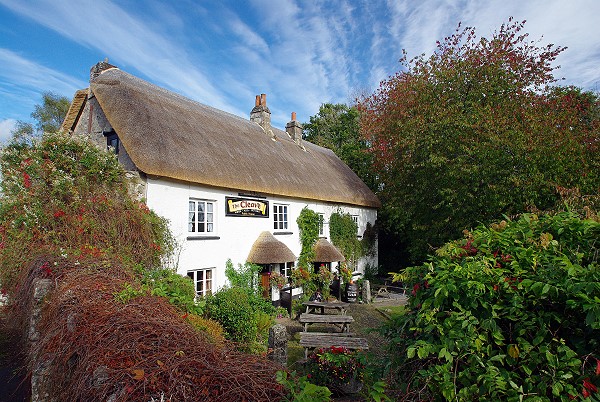 The Cleave, Lustleigh