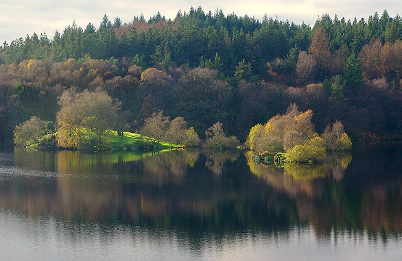 Small Islets - Llyn Elsi