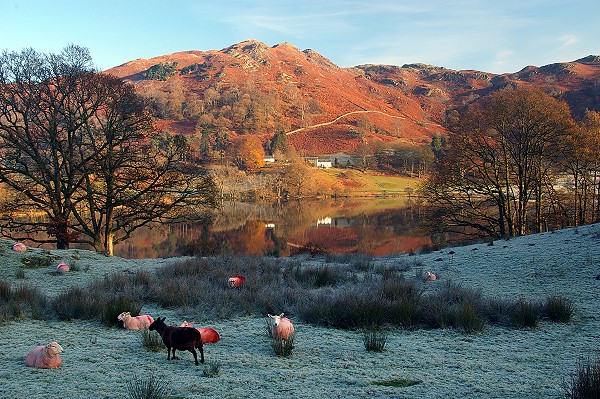 Loughrigg Tarn