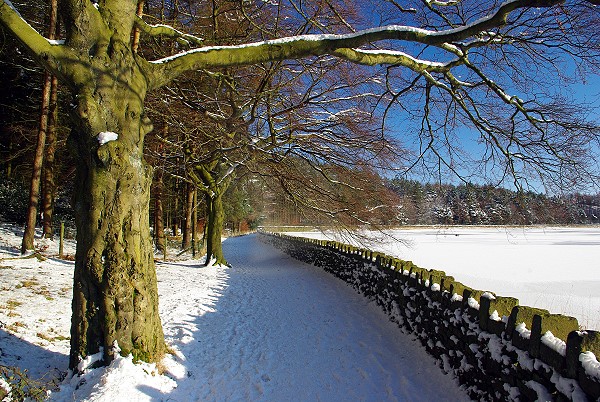 Entwistle walk in the snow