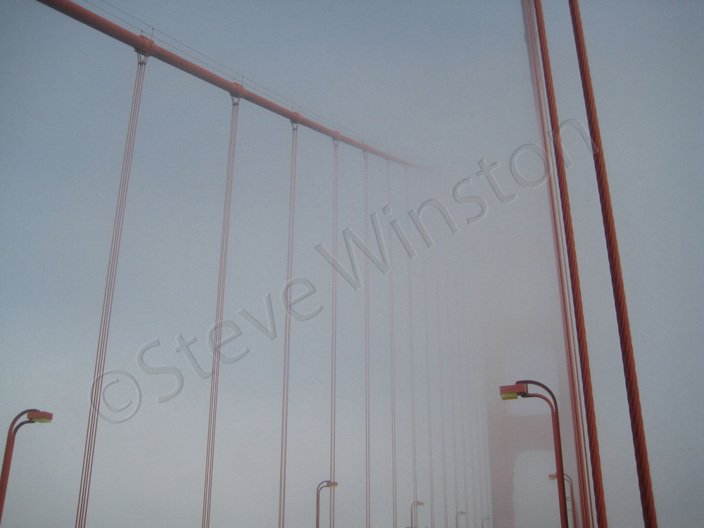 Shrouded Support