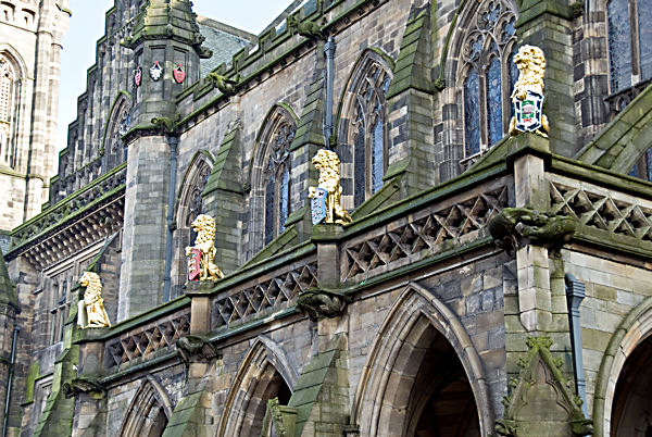 Town Hall Lions