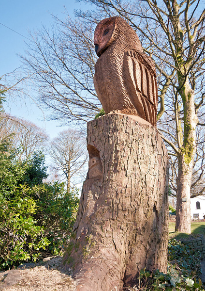 Owl Carving