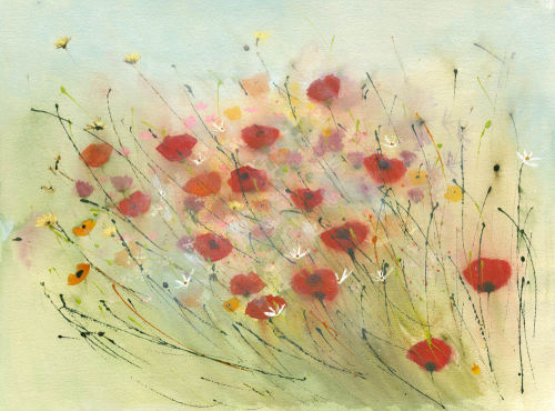 Poppies with white daisies