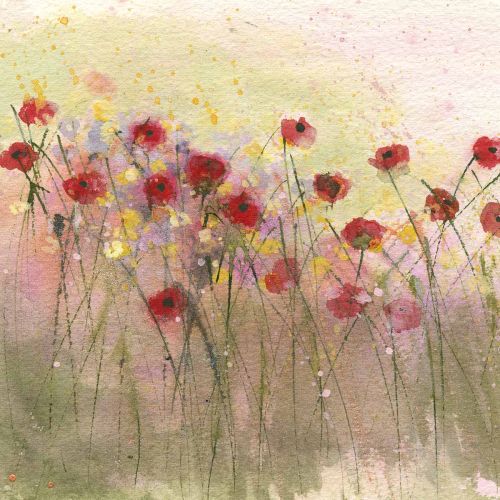 Poppies in the rain