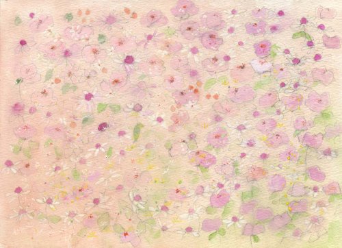 Roses and daisies