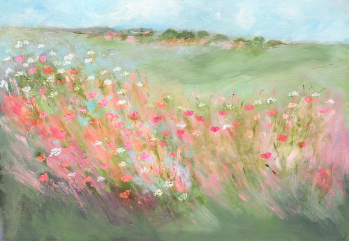 Poppies and daisies
