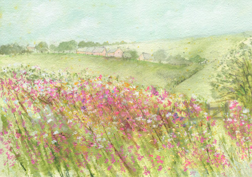 Wild flower hedgerow