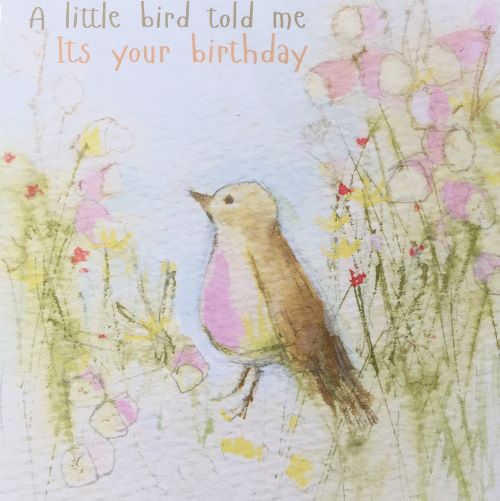 A little bird told me