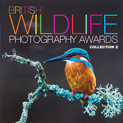 BWPA Collection 2