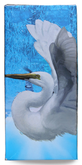 White Heron