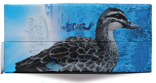 Grey Duck