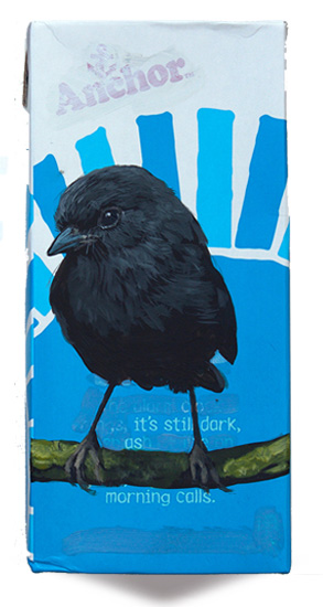 Black Robin